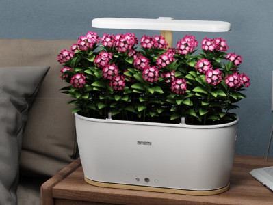 园艺智能管家：小米智能花盆如何用数据养活每一株植物？