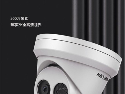 智能安防系统：海康威视全景摄像头DS-2CD3946FWD如何提供全方位监控