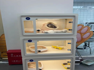 Petkit AI宠物智能看护舱：独居宠物的全方位守护神器