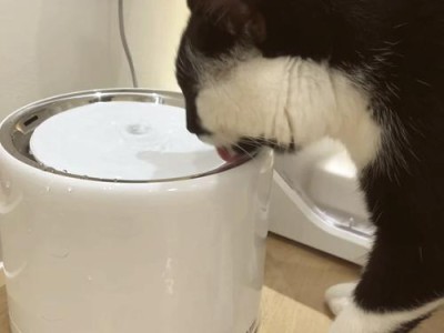 小佩Eversweet Ultra 智能宠物饮水机——宠物健康饮水神器