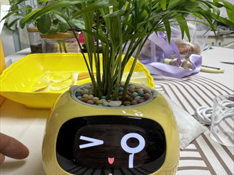 Greenify AI智能绿植养护器：新手也能养好花的养护神器