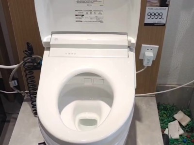 智能卫浴体验：TOTO智能马桶G5如何重新定义如厕舒适度